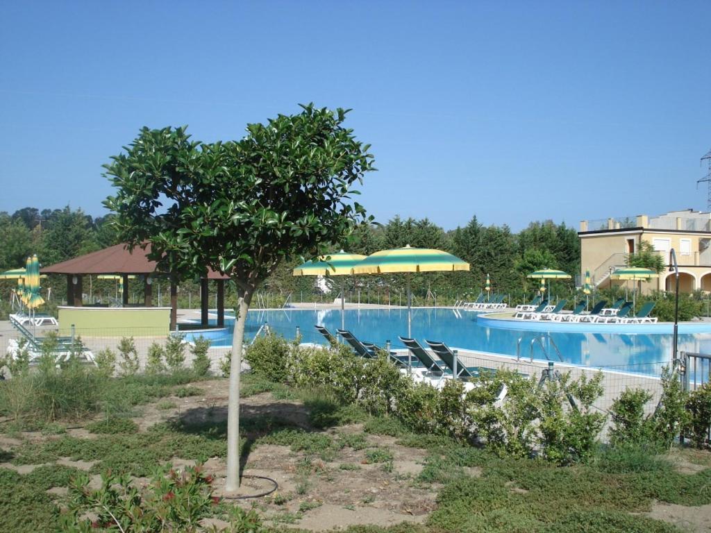 דירות Sonia Pizzo Beach Club מראה חיצוני תמונה